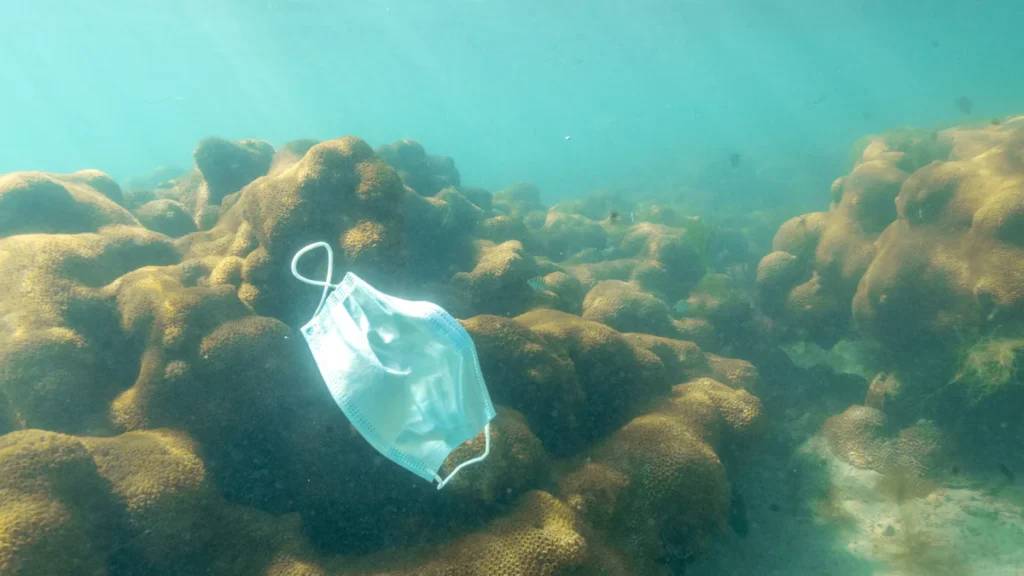 What Is a Turbidity Curtain and Why It Matters