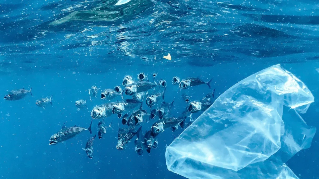 What Is a Containment Boom and Why It Matters