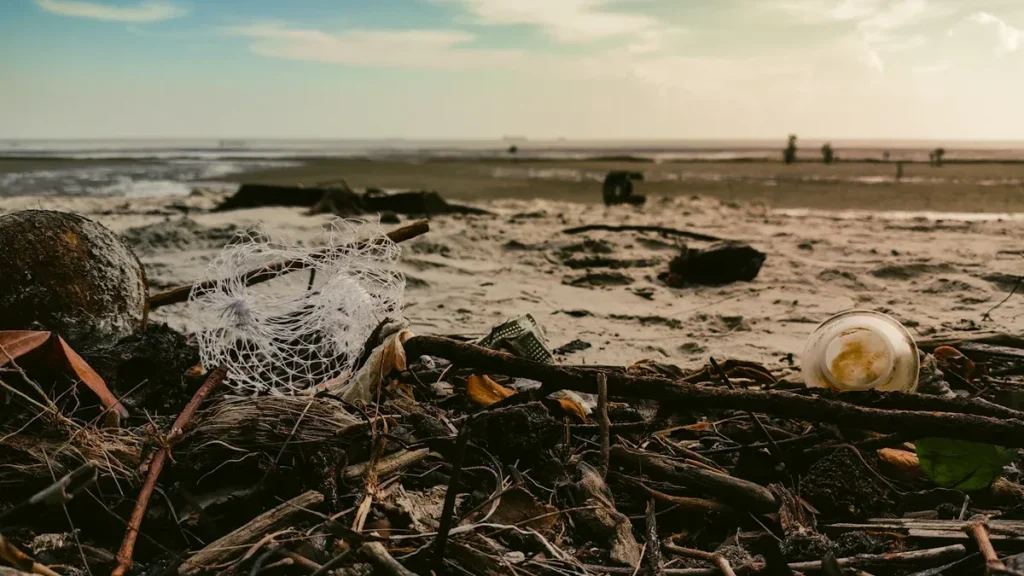 What Services Do Oil Spill Response Companies Provide?